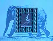 hommage_muybridge